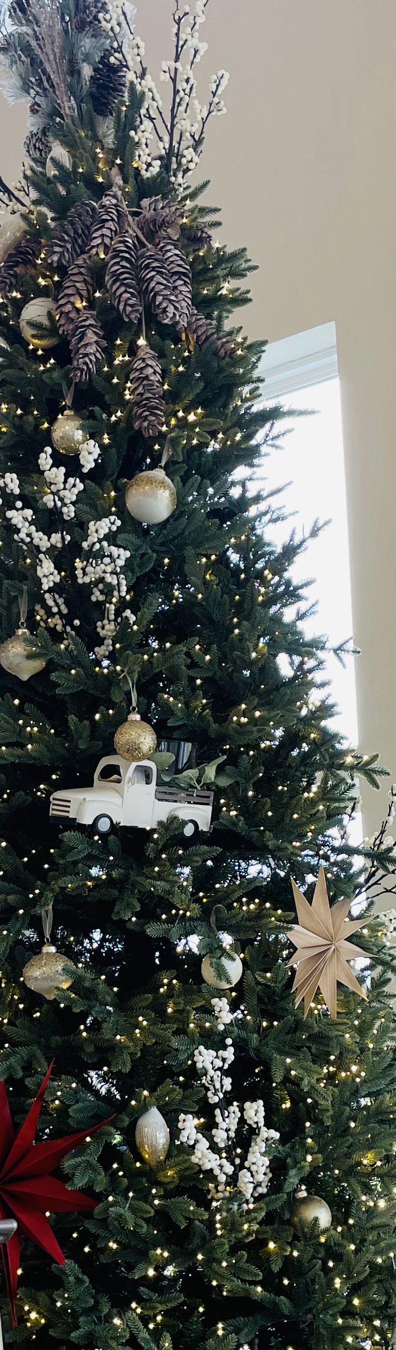 Autumn Care Assisted Living's Photo