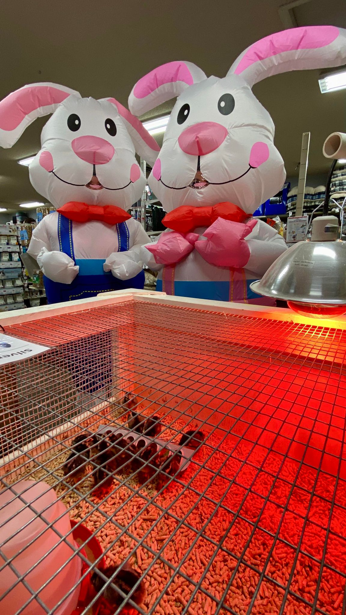 Photo gallery image - 4