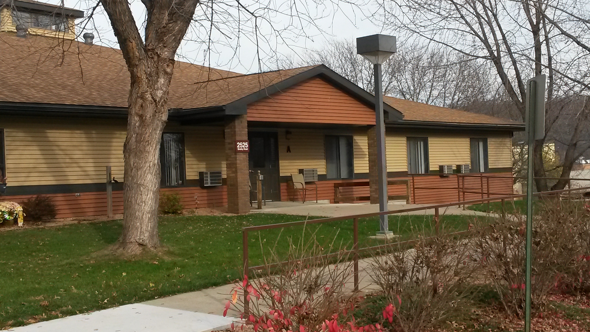 Shelby Terrace's Photo