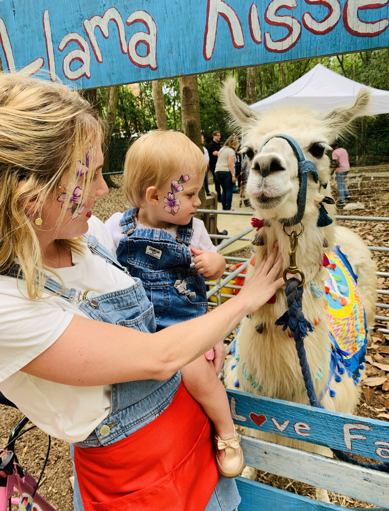 Photo gallery image - 4