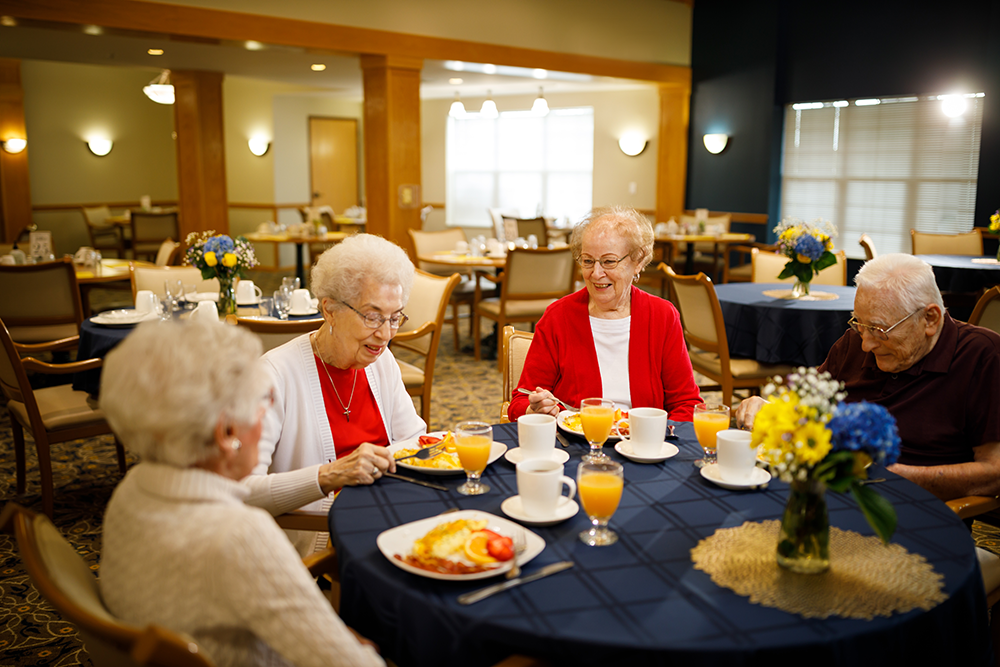 Photo gallery image - 2