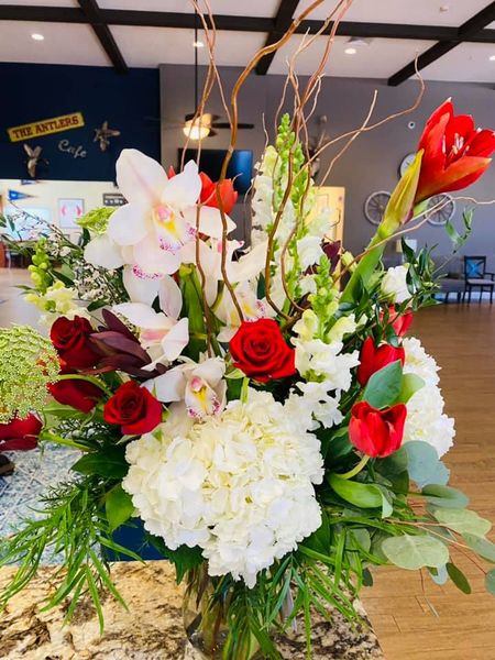 Photo gallery image - 1