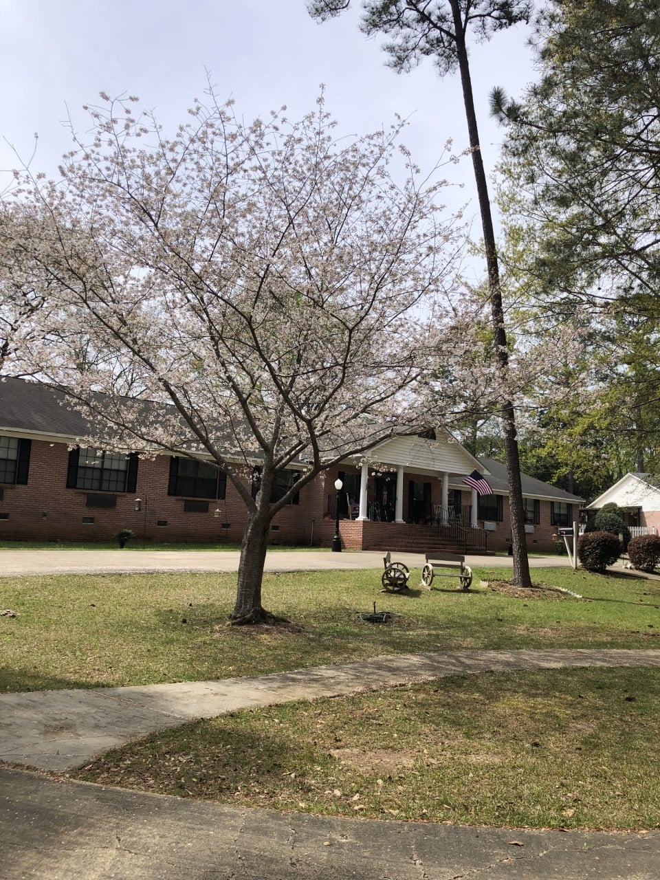 Greensprings Assisted Living's Photo