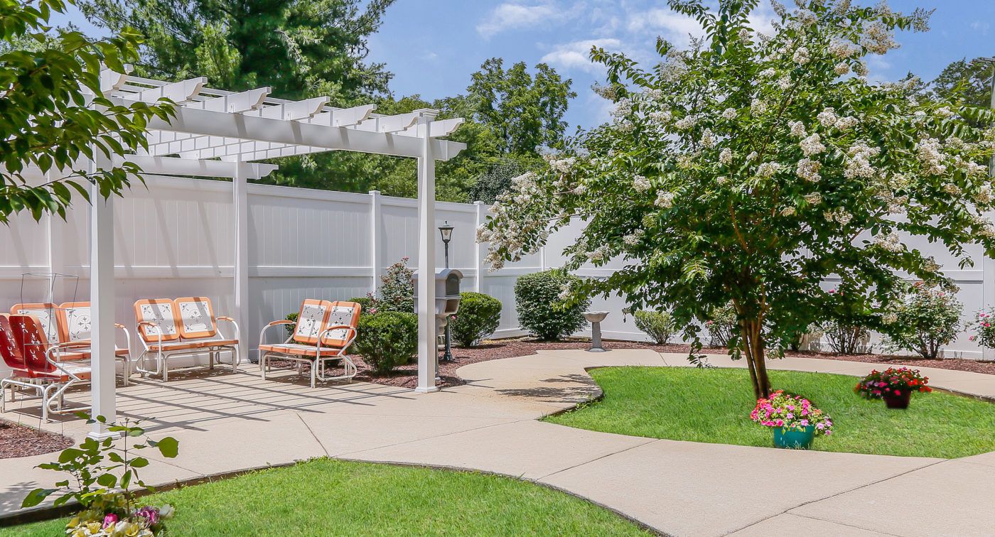 AVIVA Maybelle Carter's Photo