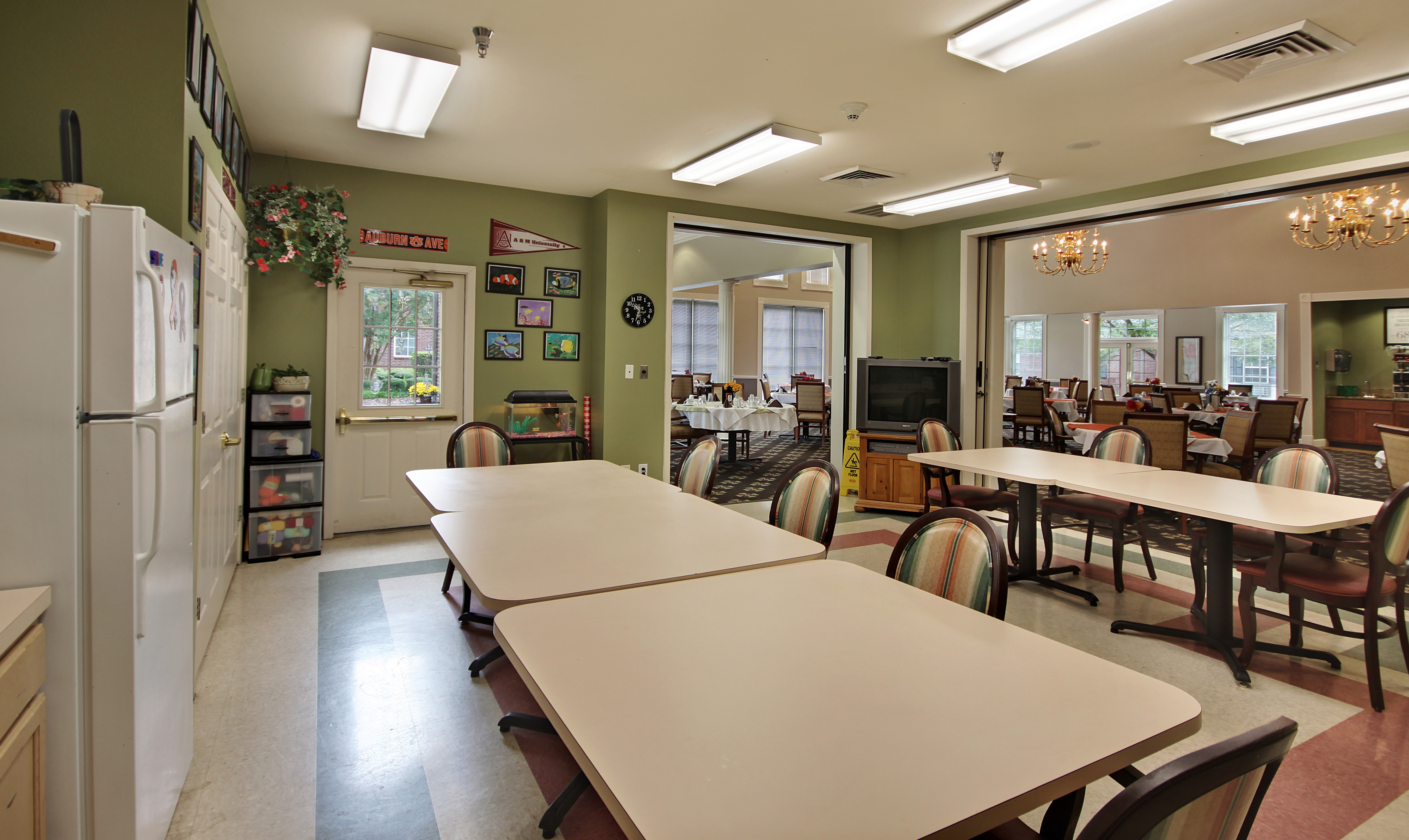 Proveer at Byrd Springs's Photo