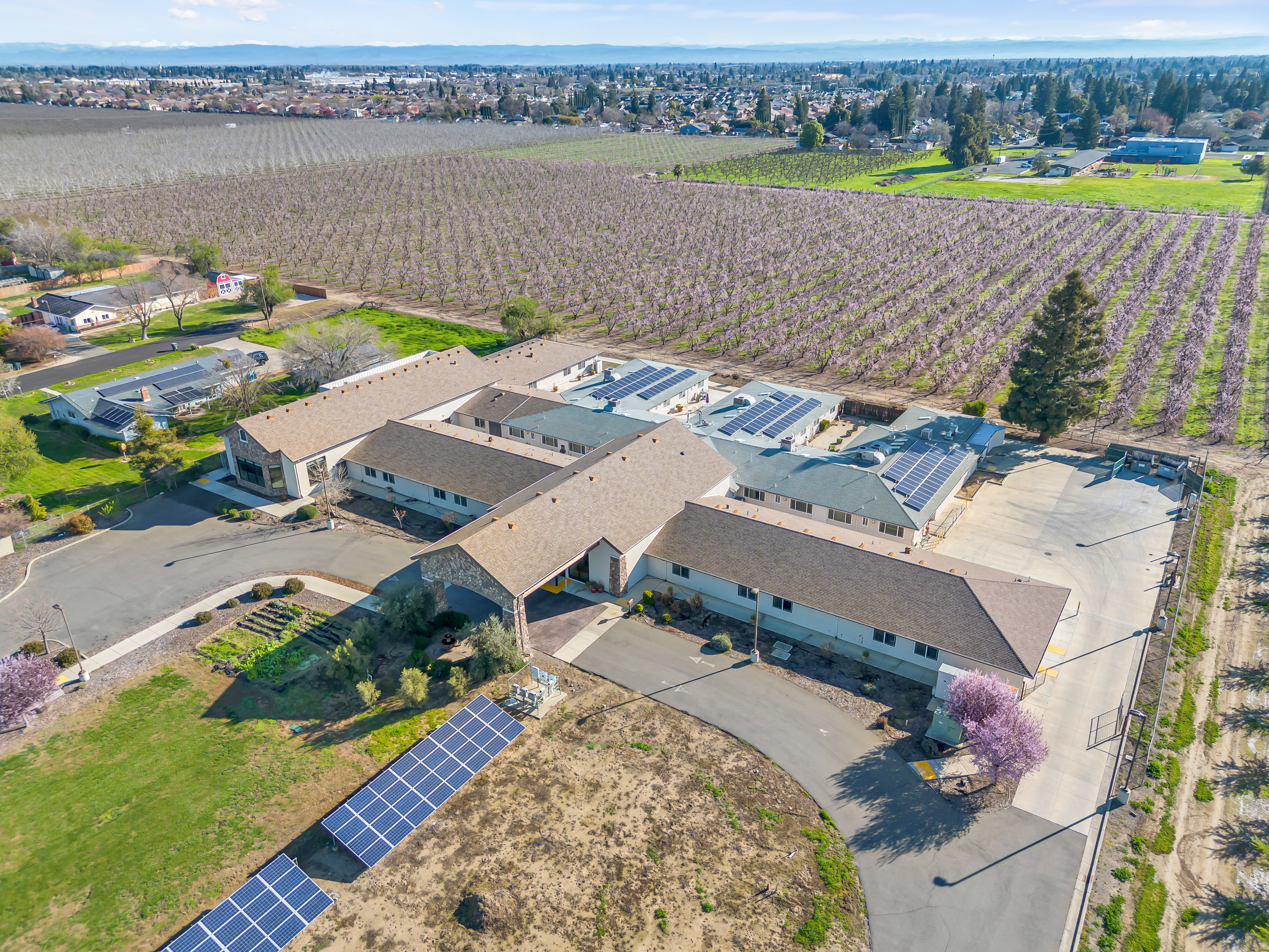 Photo gallery image - 2