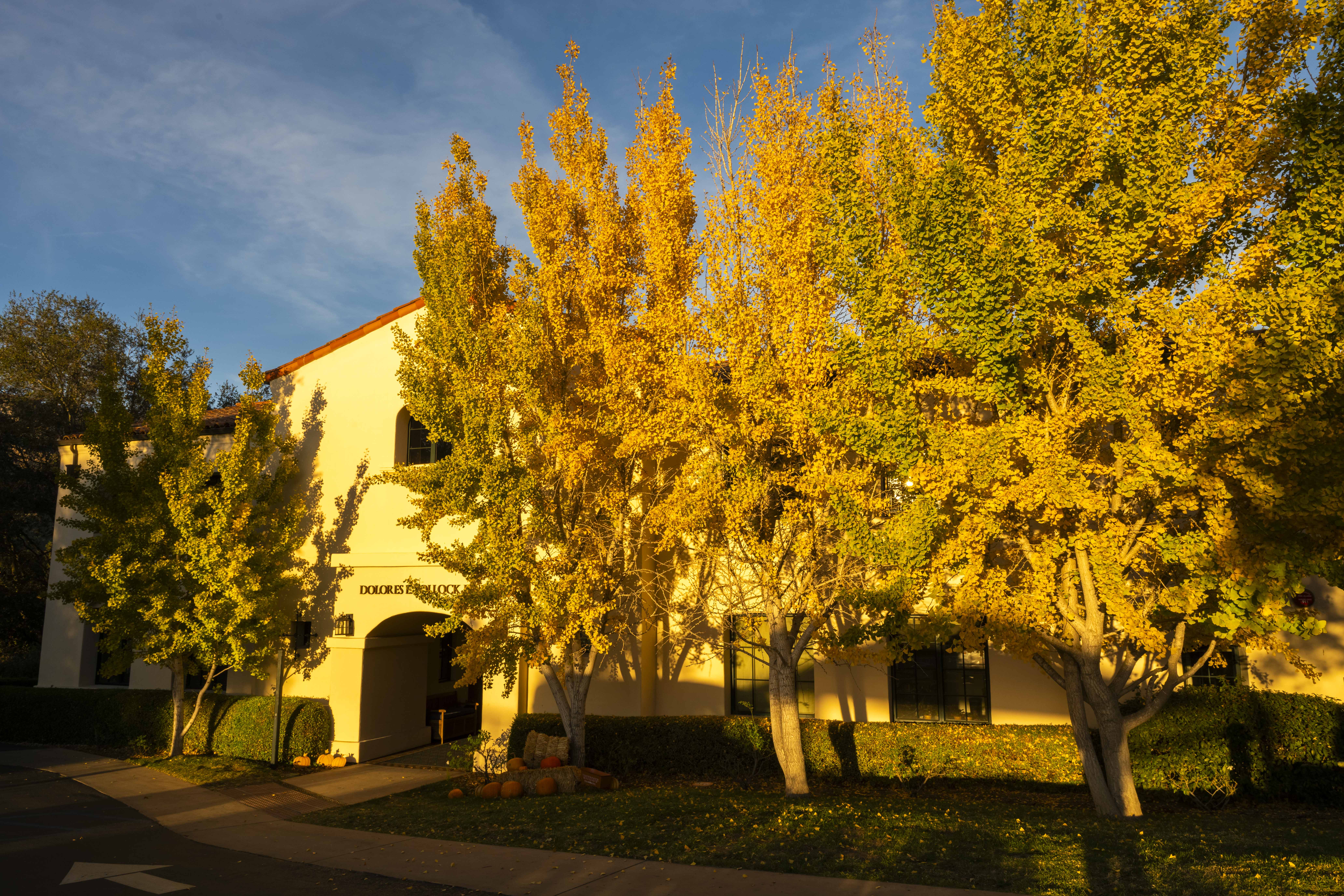 The Riviera Ridge School's Photo