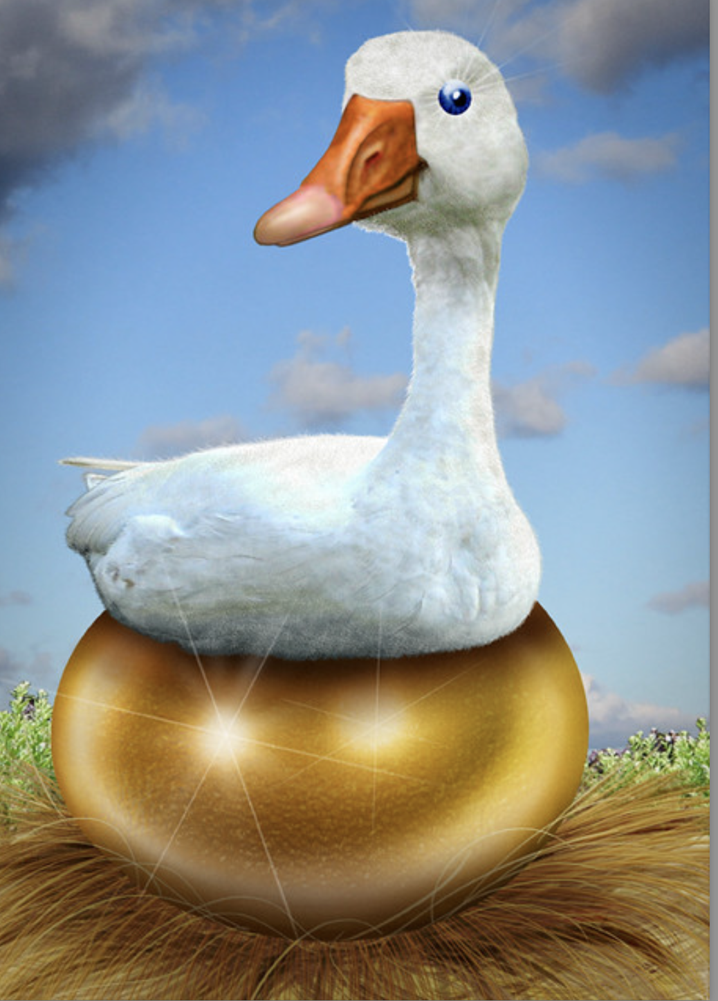 Photo gallery image - 1