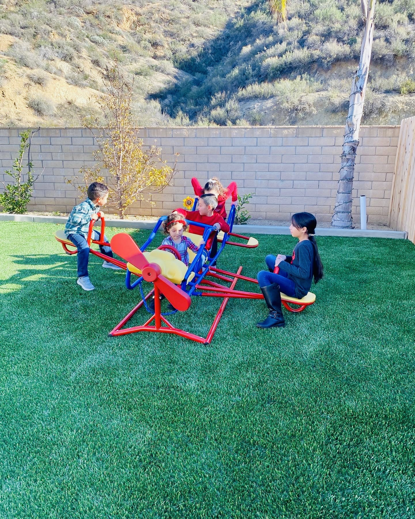 Little Seeds Preschool's Photo