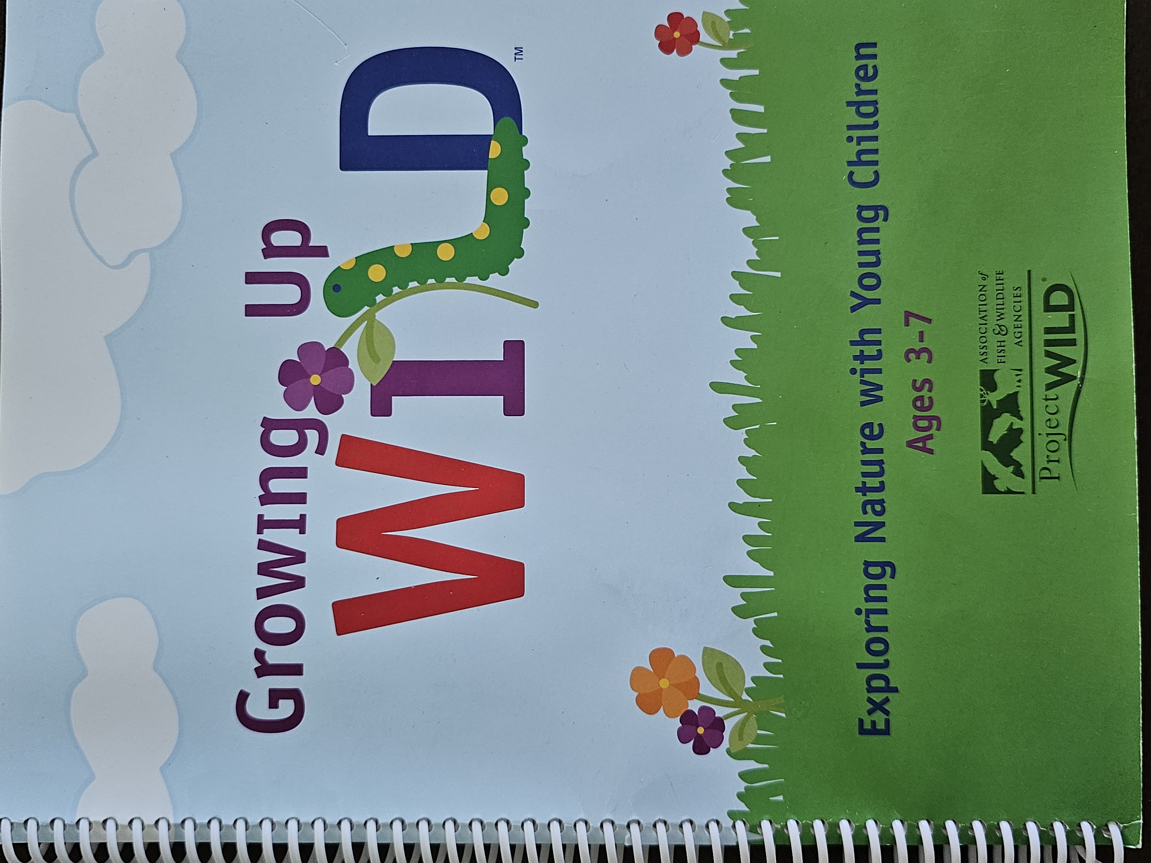 Kiddie Paradise's Photo