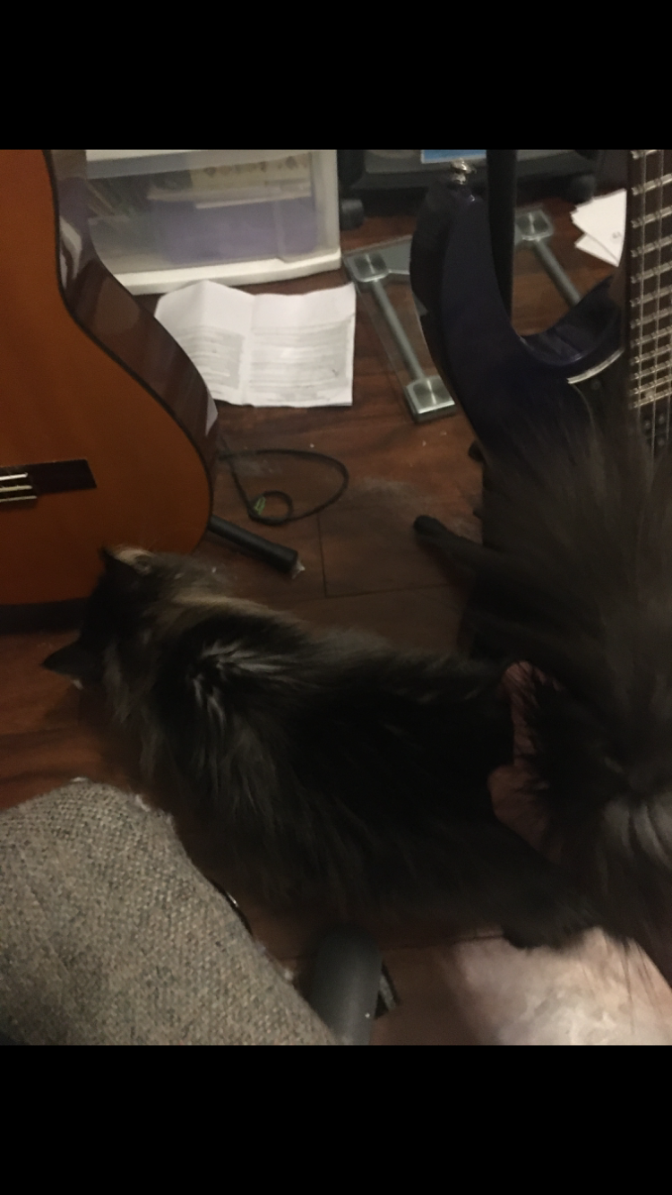 Photo gallery image - 4