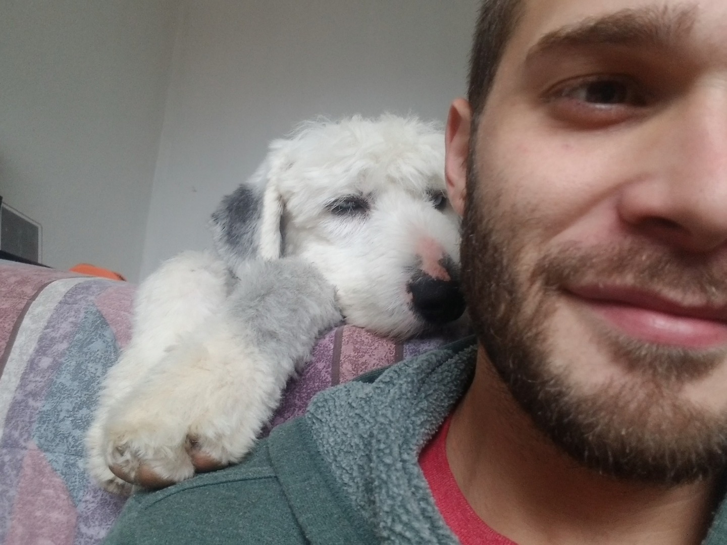 Photo gallery image - 0