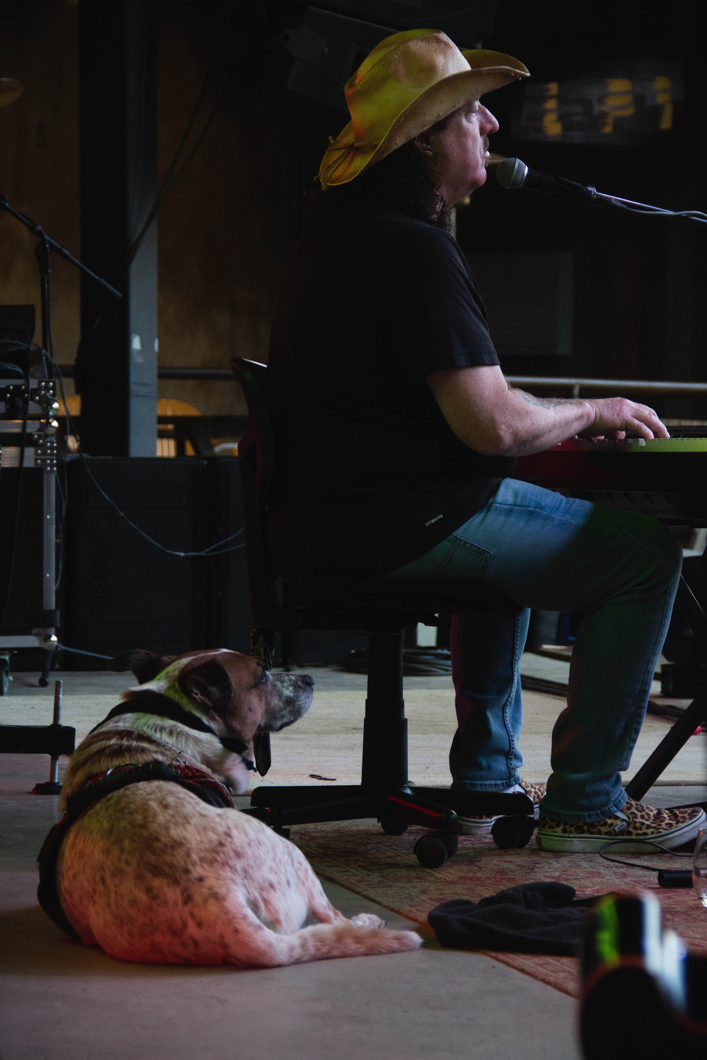 Photo gallery image - 3