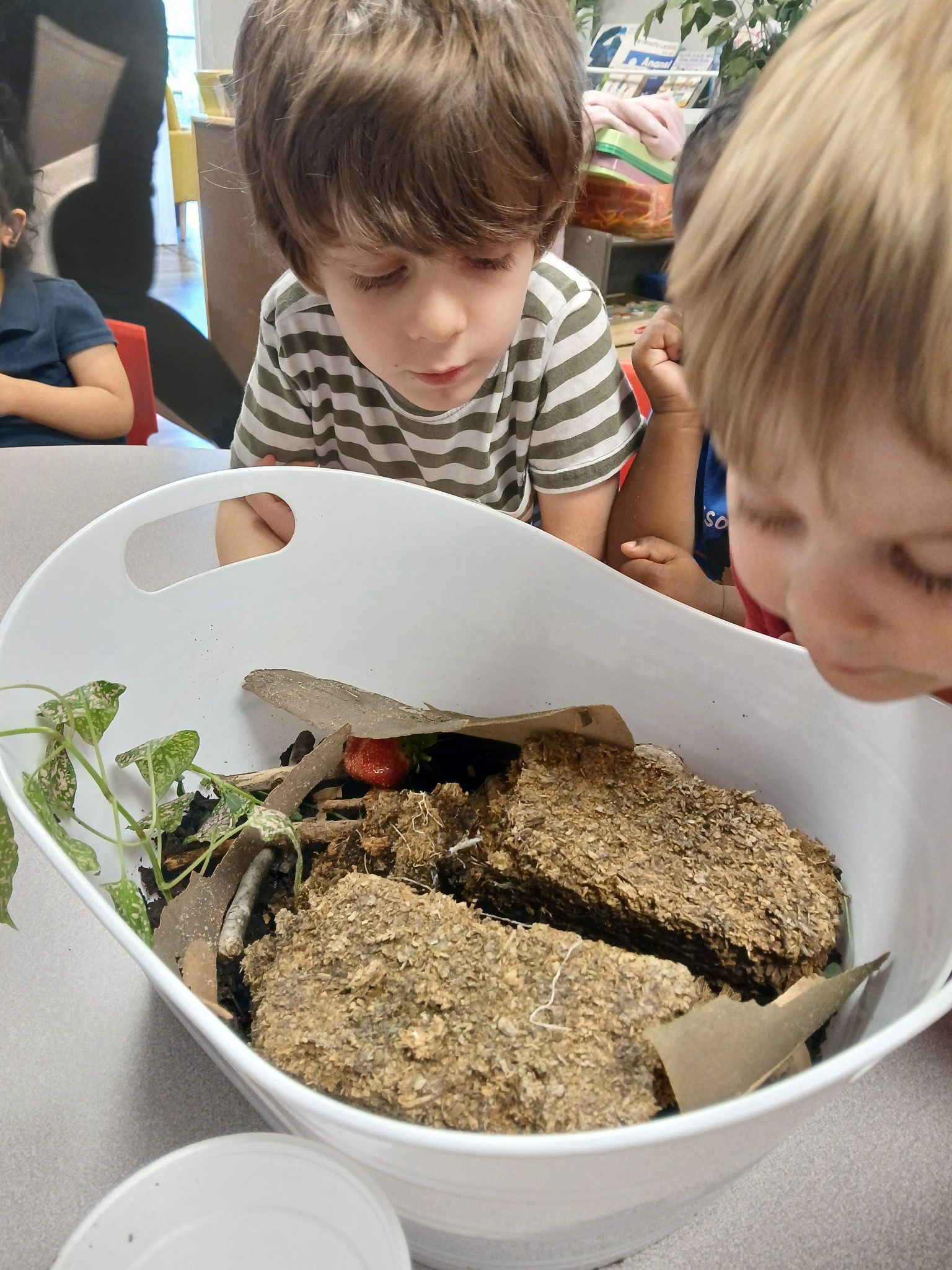 The Discovery School of Georgia's Photo