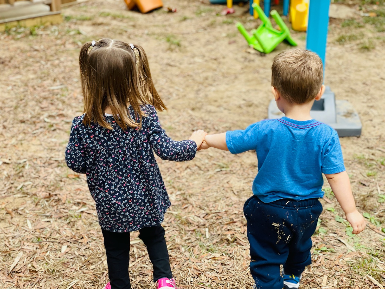 The Community Preschool Of Palisades, Inc. Logo