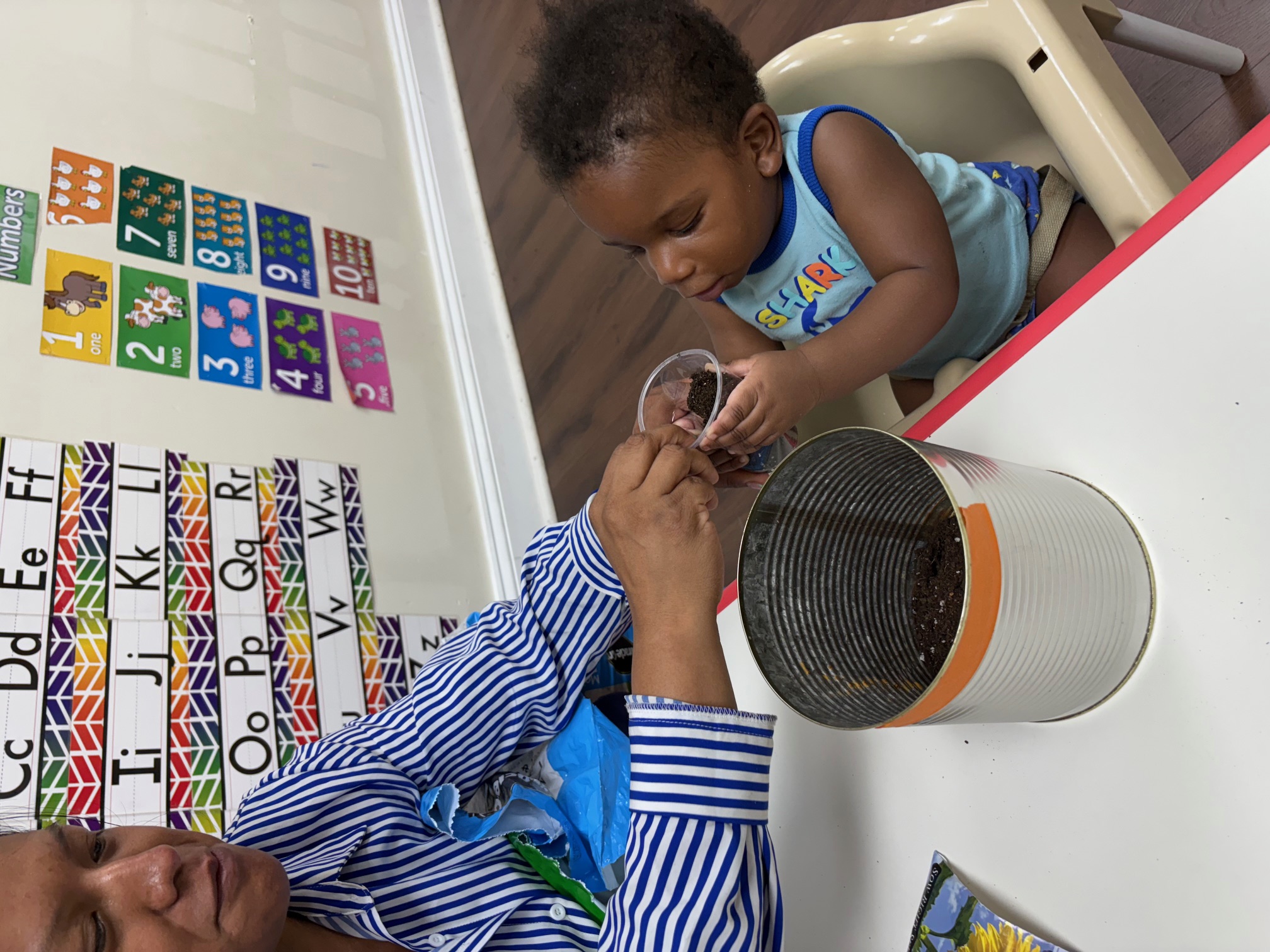 Sunflower Childcare Academy's Photo