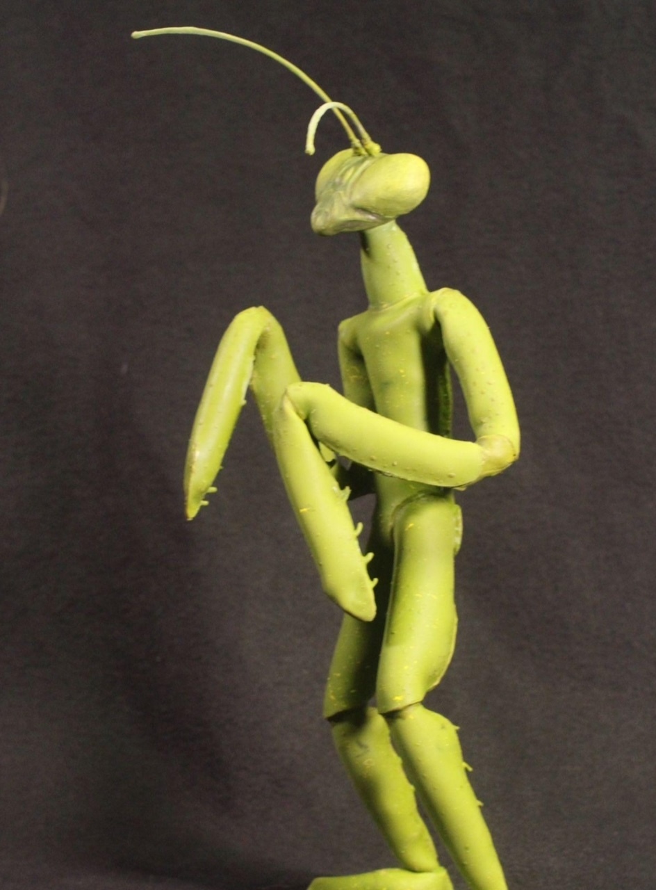 Photo gallery image - 0