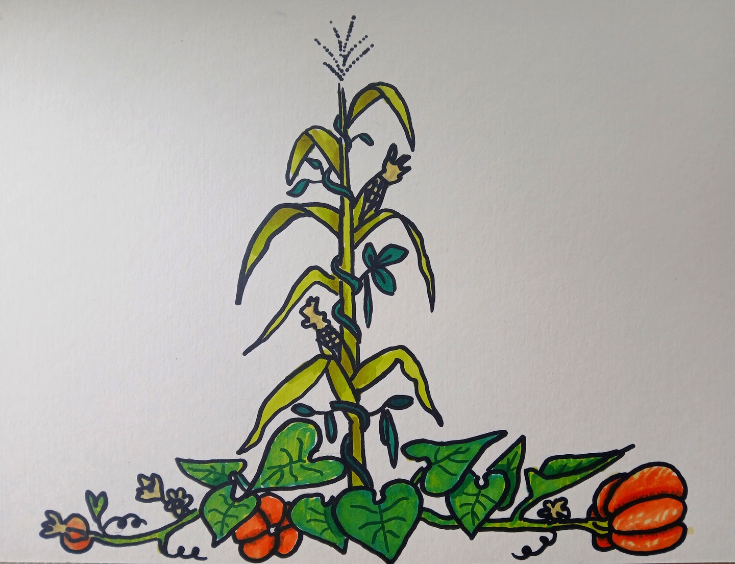 Photo gallery image - 4