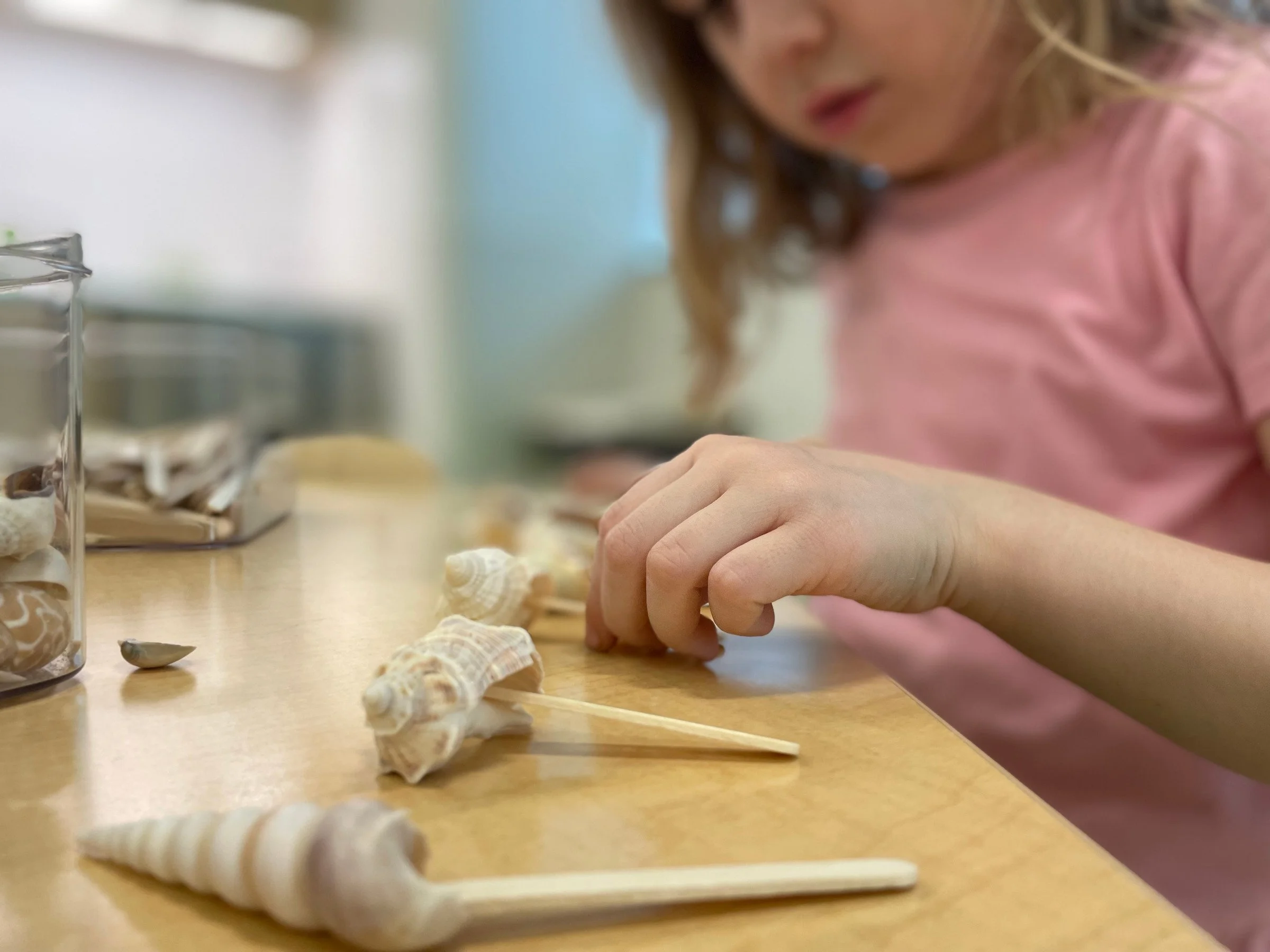 HHS/ED Children's Center by Reggio's Treehouse's Photo