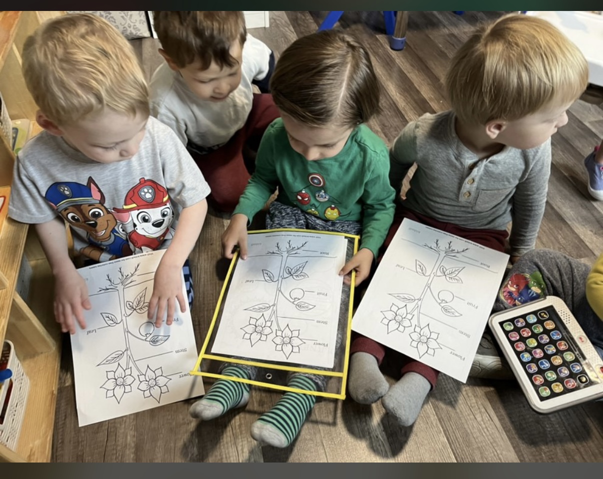 LITTLE STAR DAYCARE AND PRESCHOOL's Photo