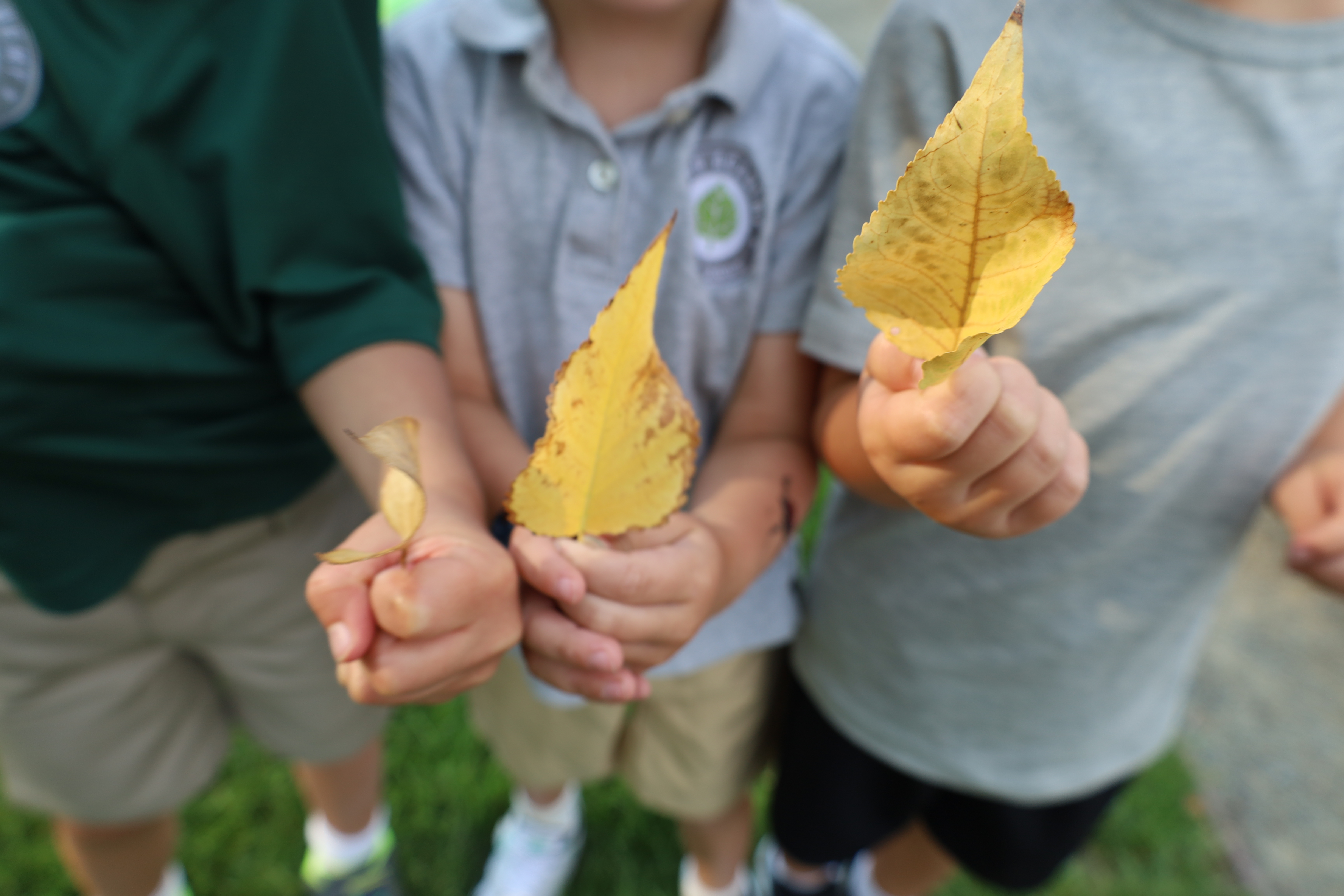 Aspen Academy Early Learning's Photo