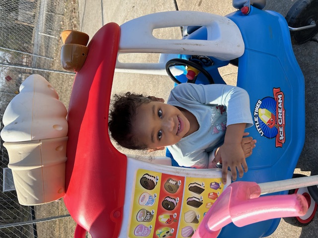 Wee Flourish's Photo