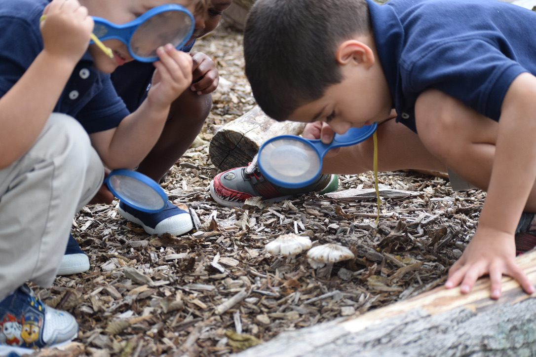 MONTESSORI KIDS UNIVERSE OF LIBERTY TOWNSHIP's Photo