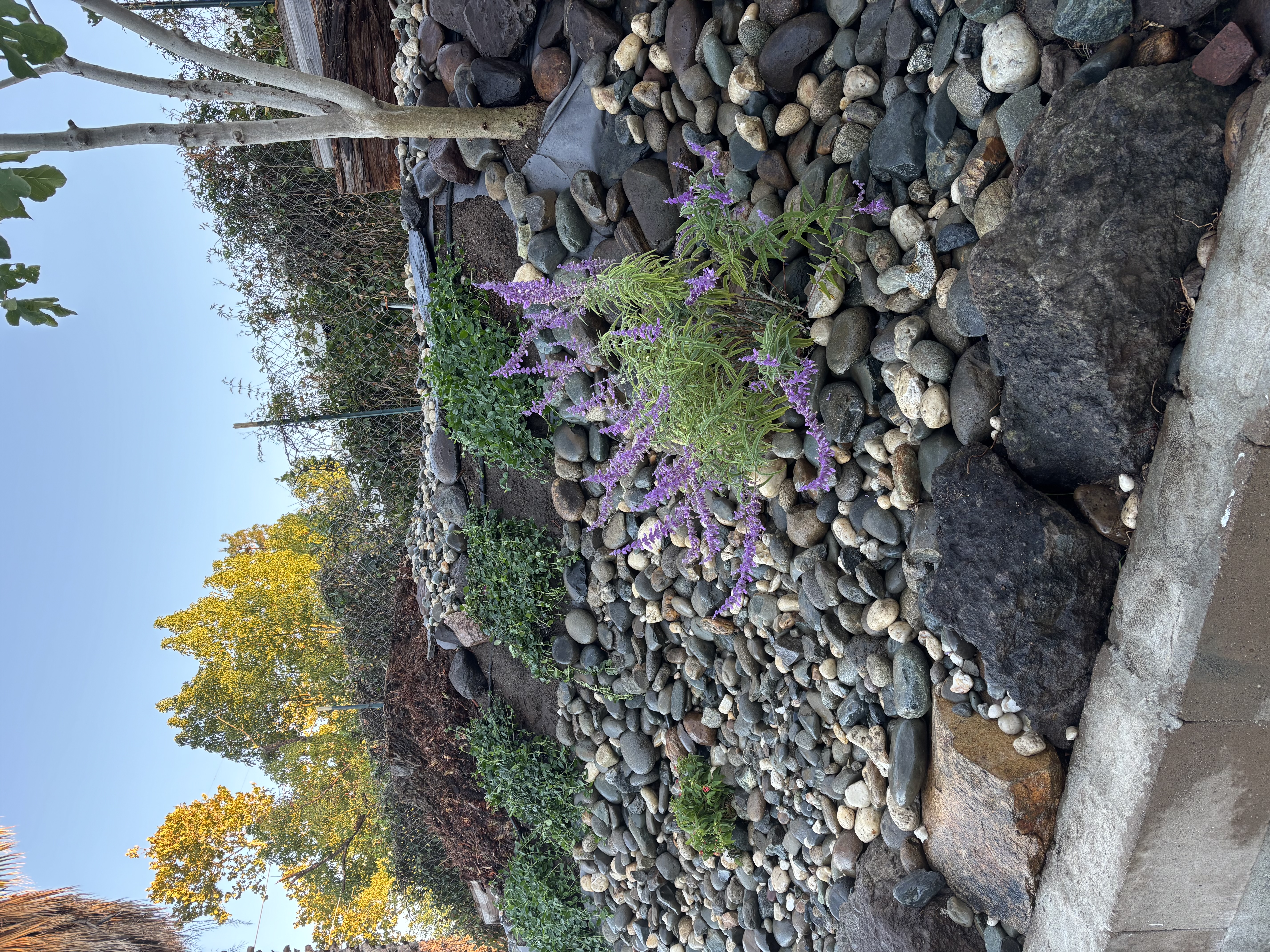 Photo gallery image - 2