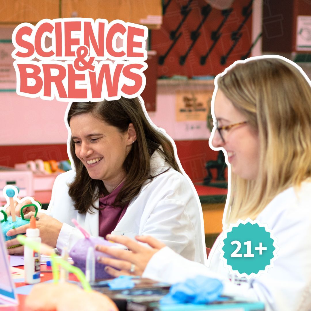 Photo gallery image - 0