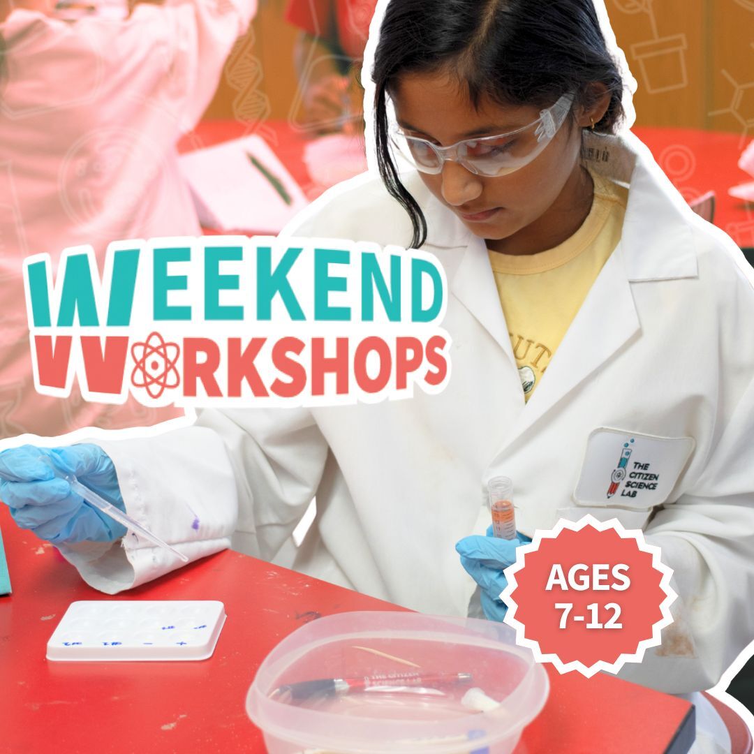 Photo gallery image - 0