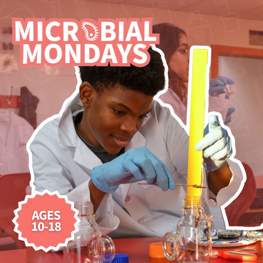 Photo gallery image - 0