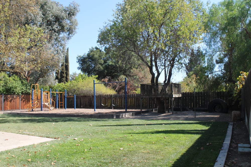 The Learning Tree's Photo