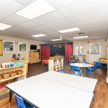 Maple Leaf - Glenville's Photo