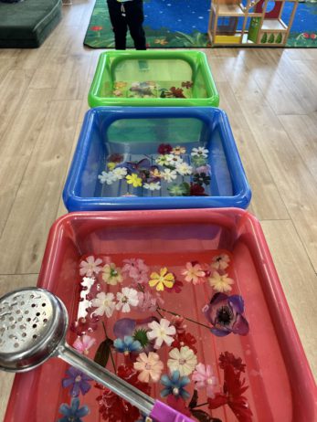 Cadence Academy Preschool's Photo