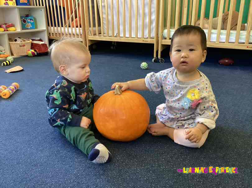 The Learning Experience - South Lyon Township's Photo