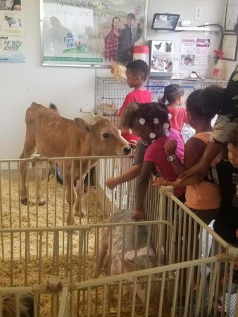 Cadence Academy Preschool Candletree's Photo