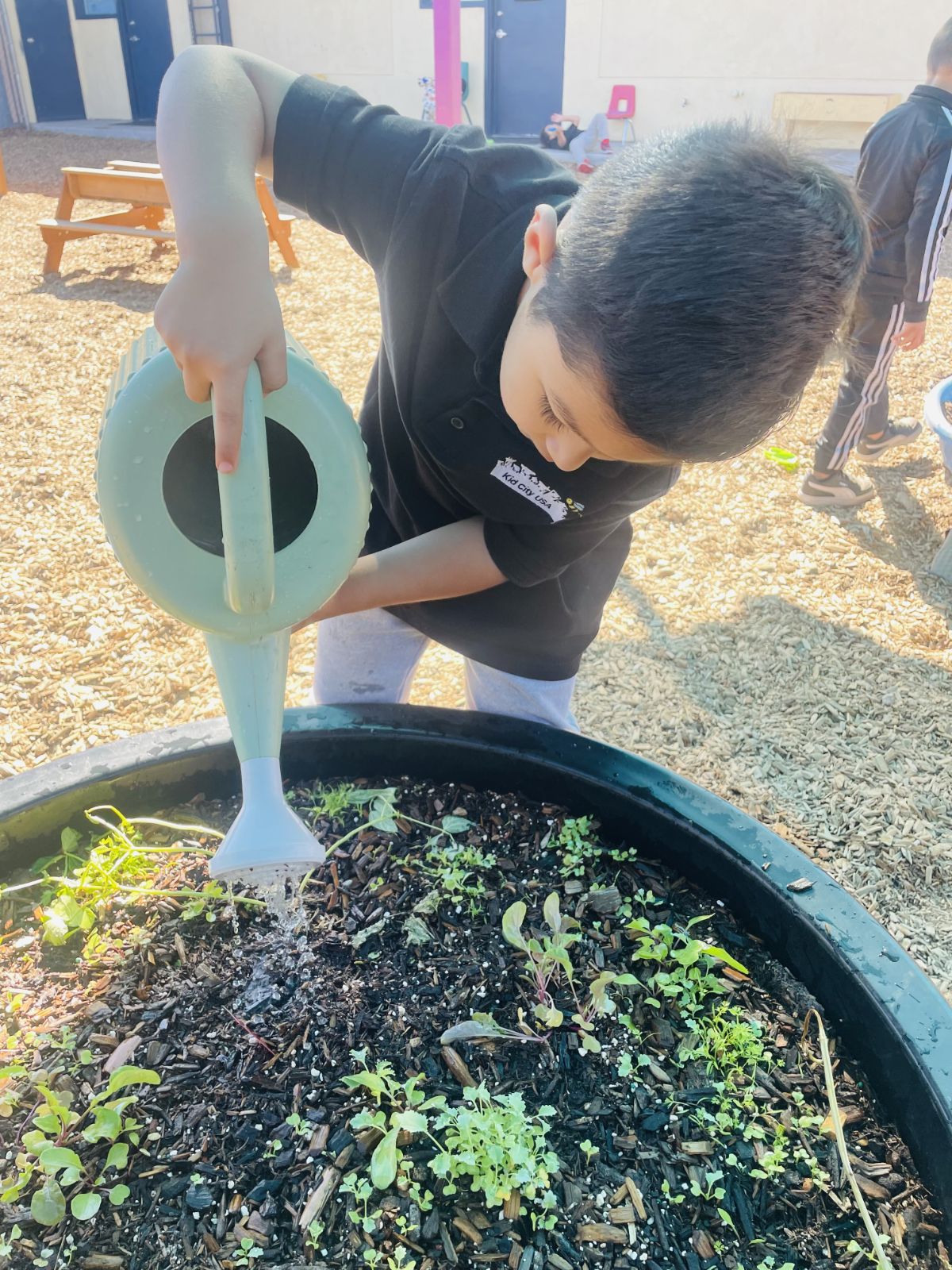 Kid City USA's Photo