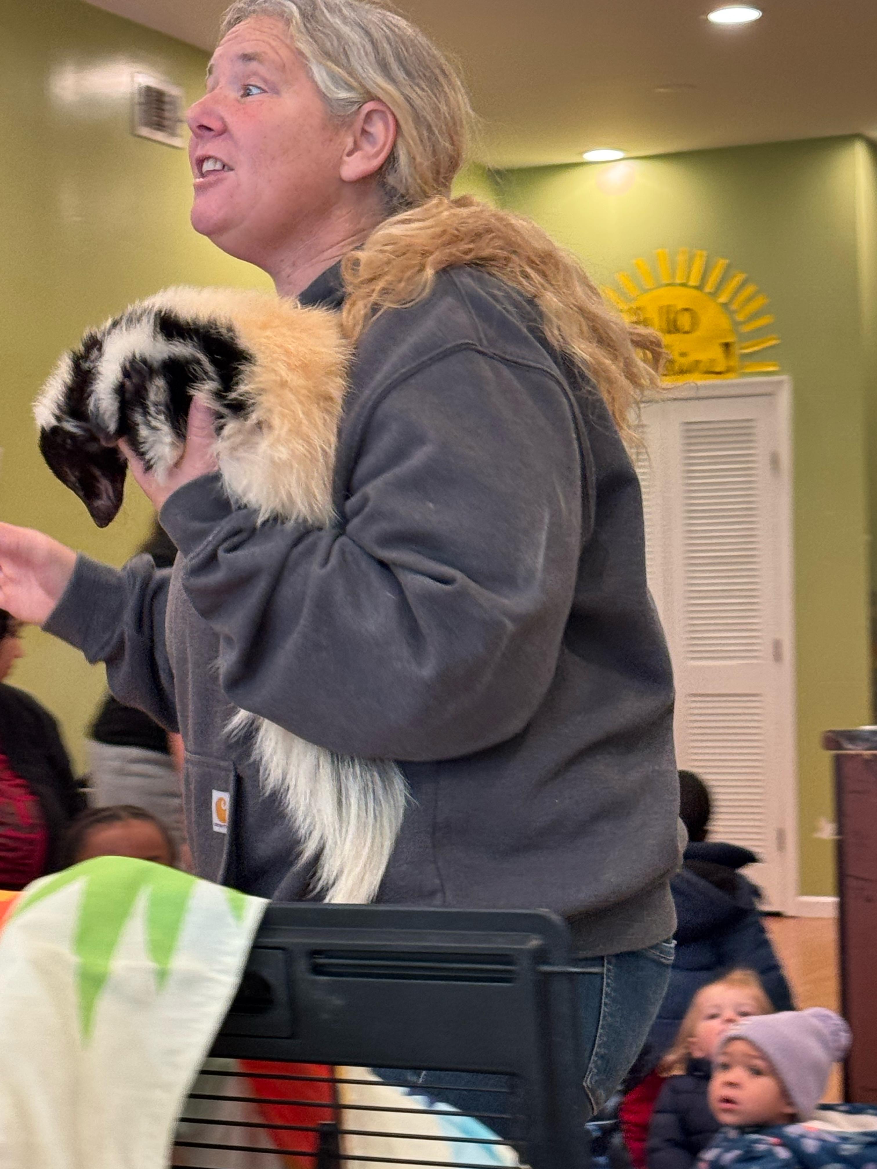 Sweet Dreams and Fairytales Preschool's Photo