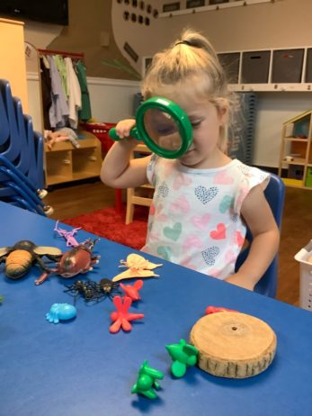 Cadence Academy Preschool Old Peachtree's Photo