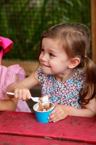 Cadence Academy Preschool's Photo