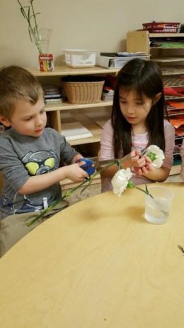 Cadence Academy Preschool Middlebury's Photo