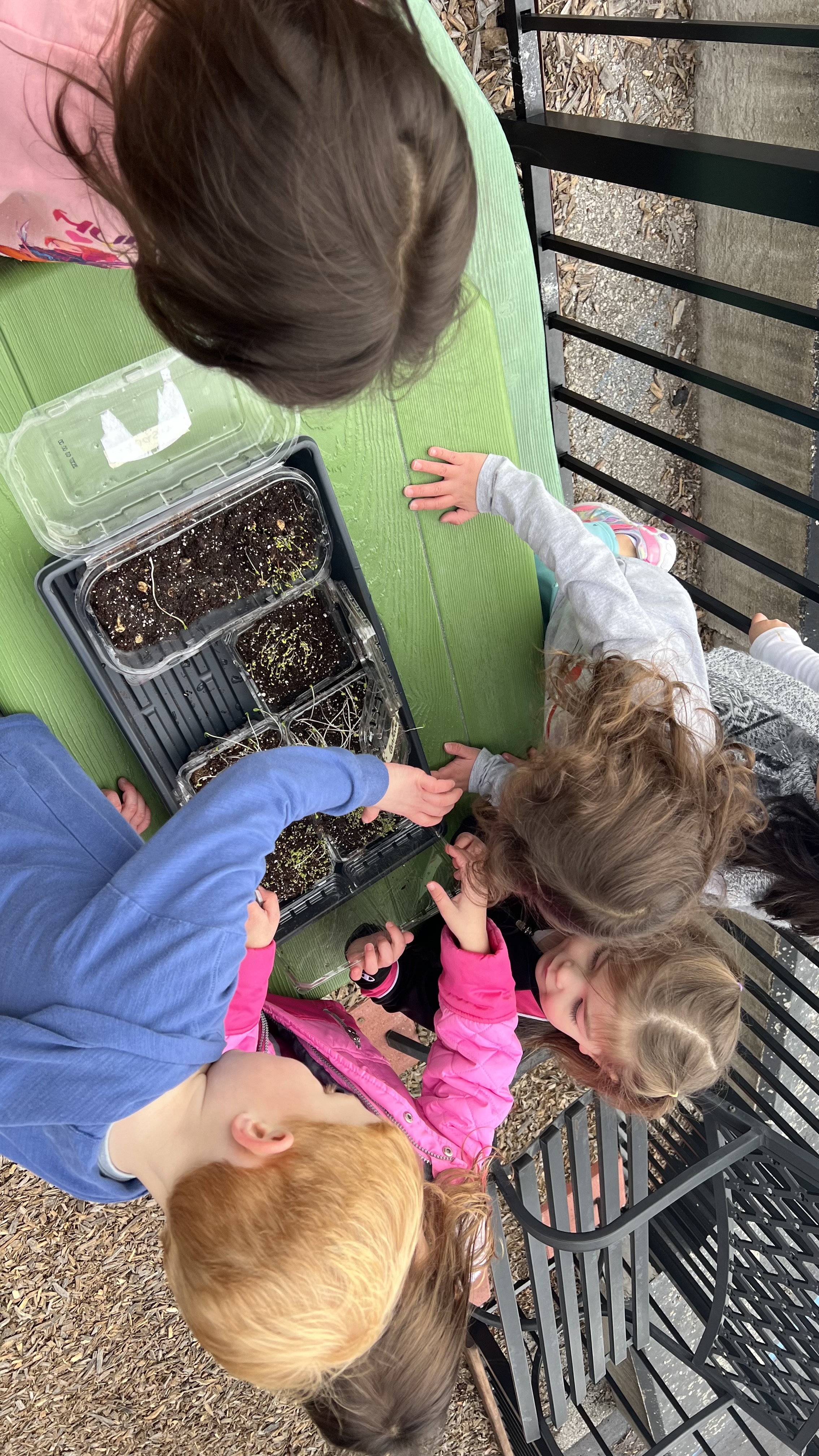 ESCUELITA ALEGRIA's Photo