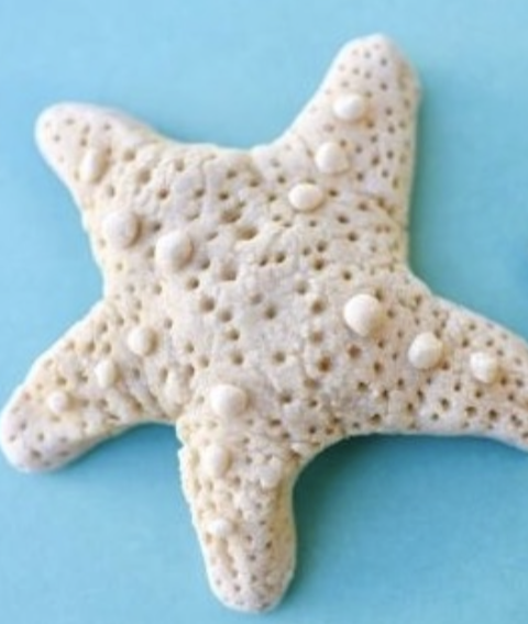 Photo gallery image - 0