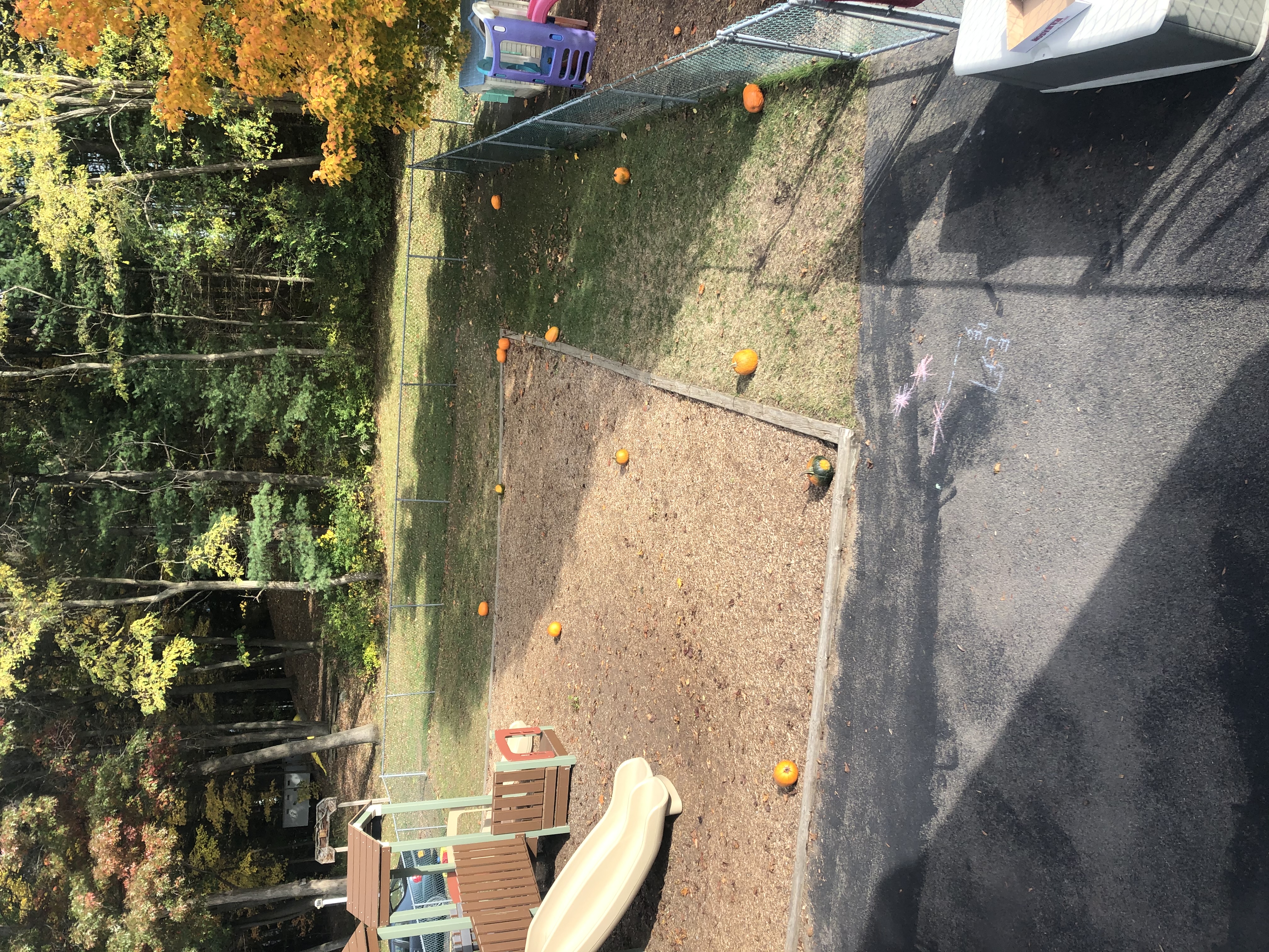 Widdle Ones Childcare's Photo