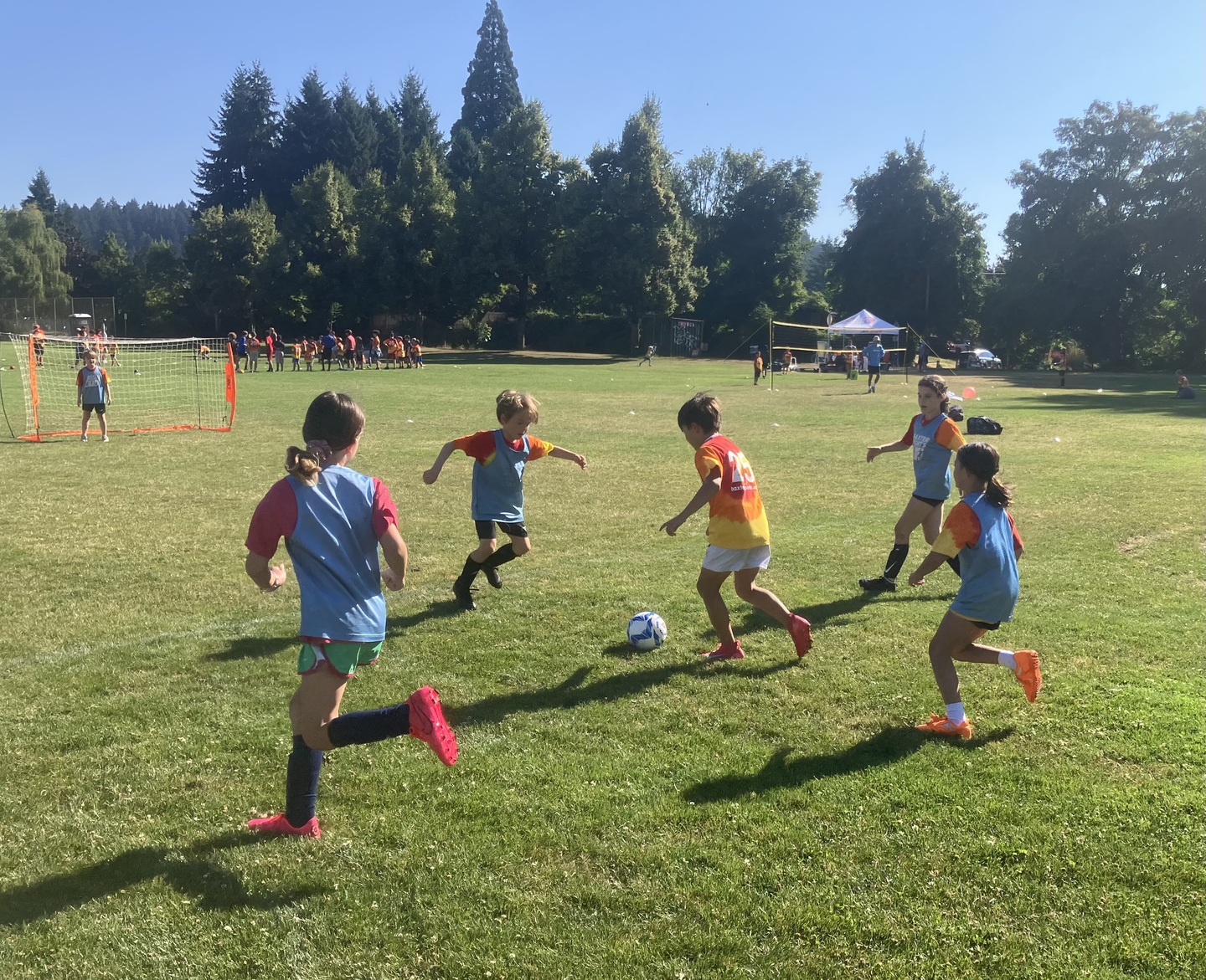 Photo gallery image - 0