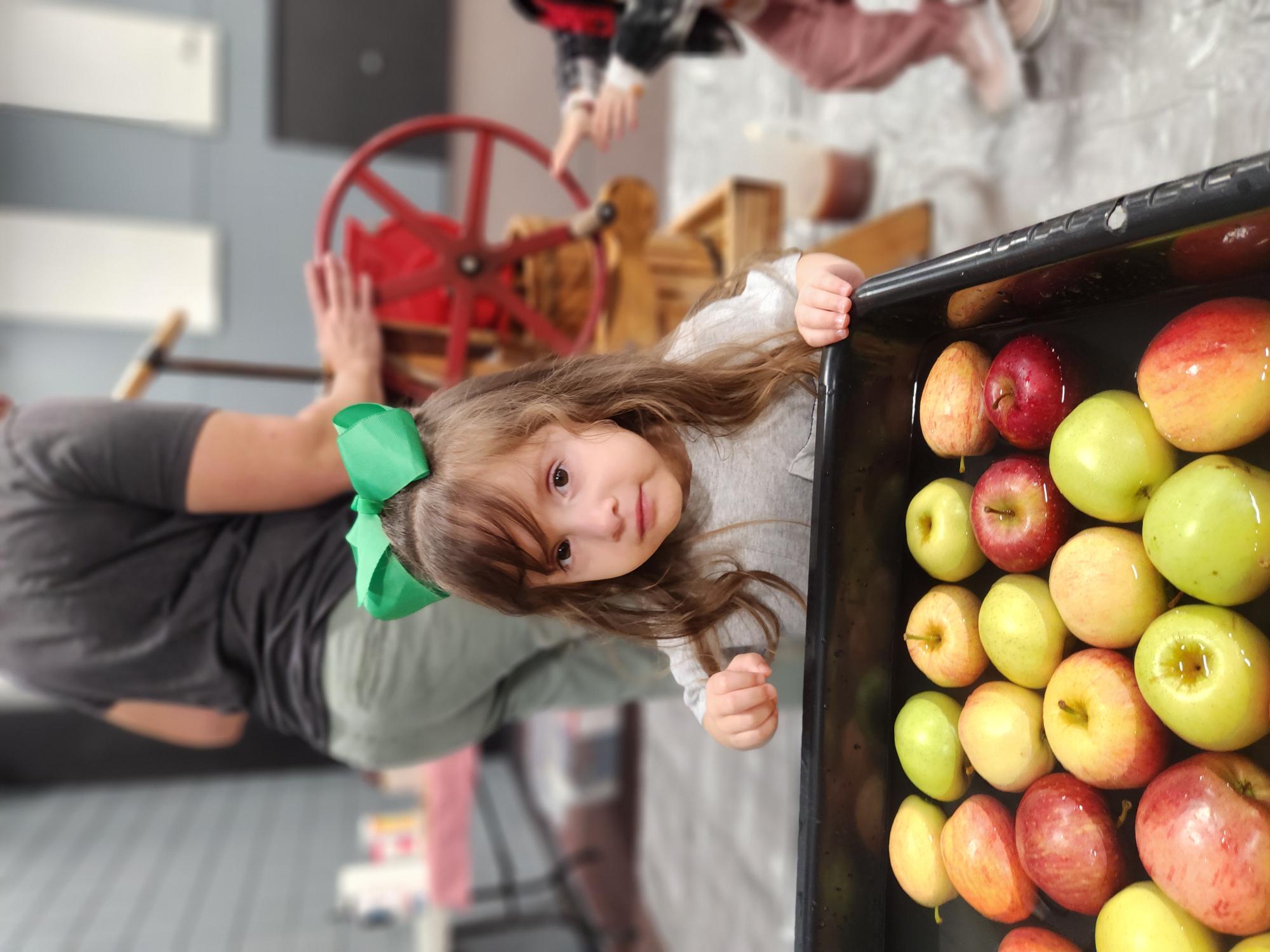 DELAWARE CHRISTIAN ACADEMY's Photo