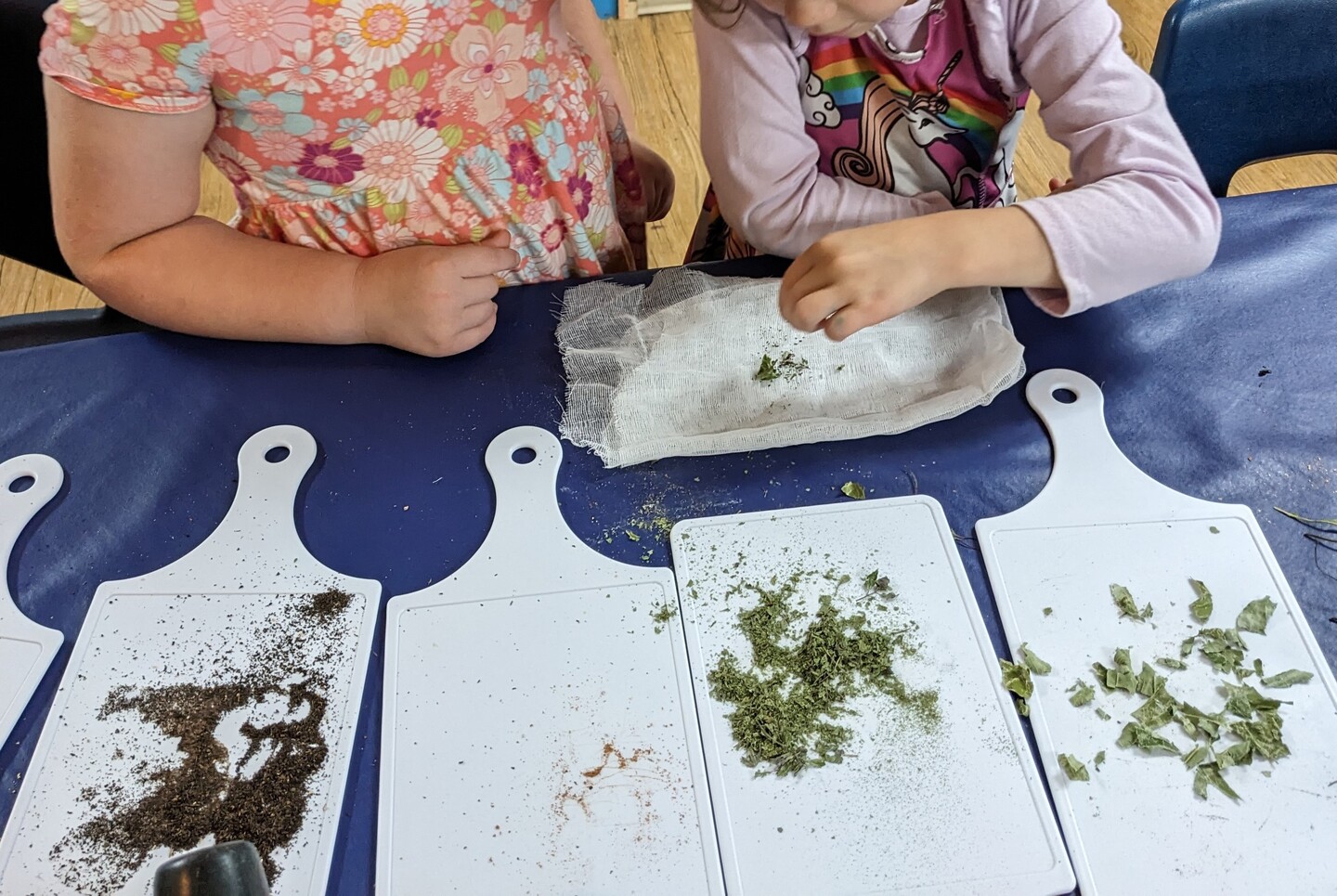 Photo gallery image - 2