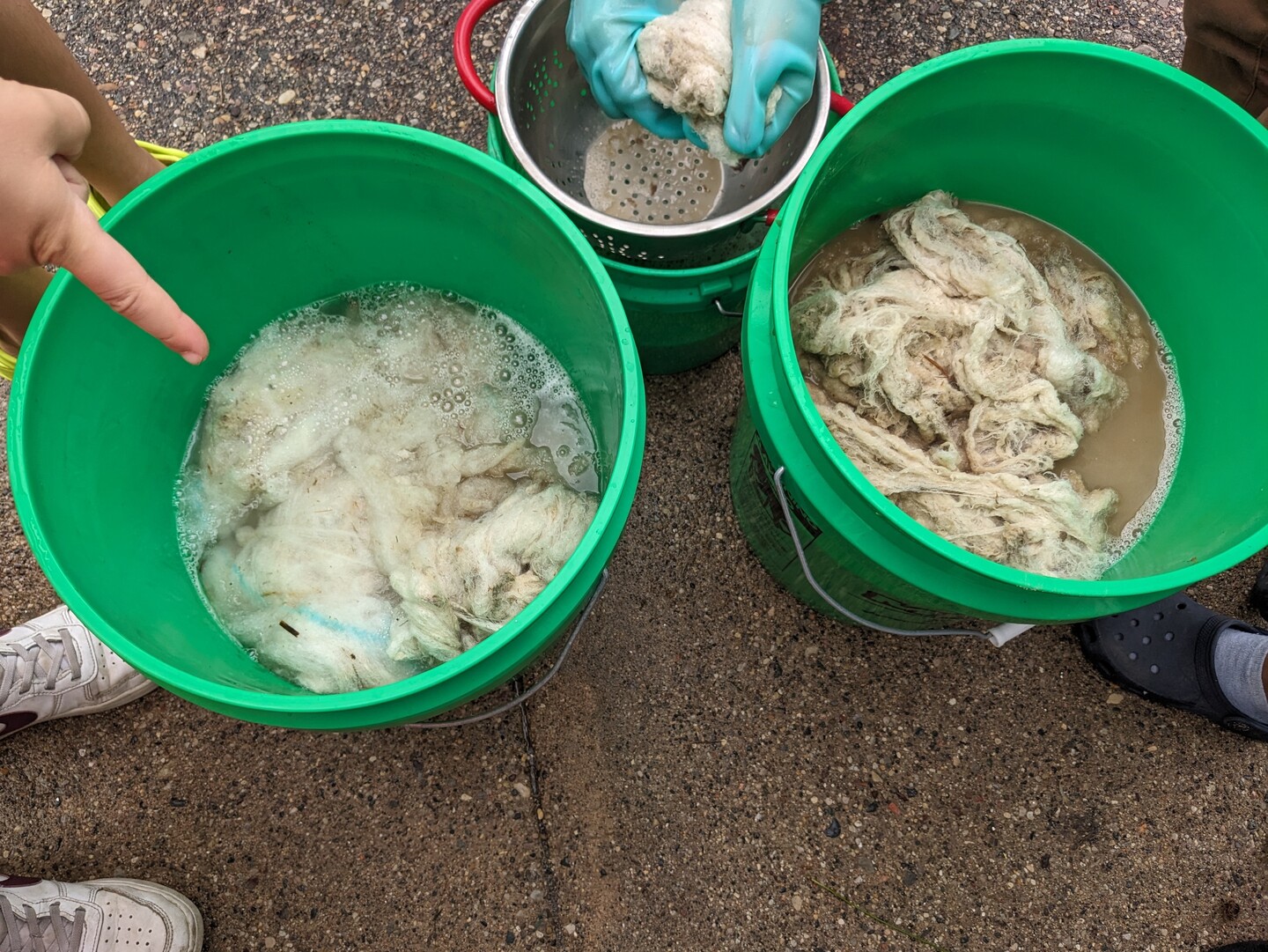 Photo gallery image - 1