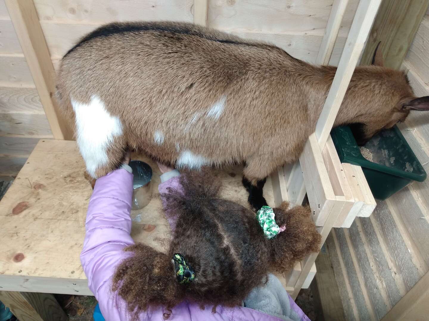 Photo gallery image - 4