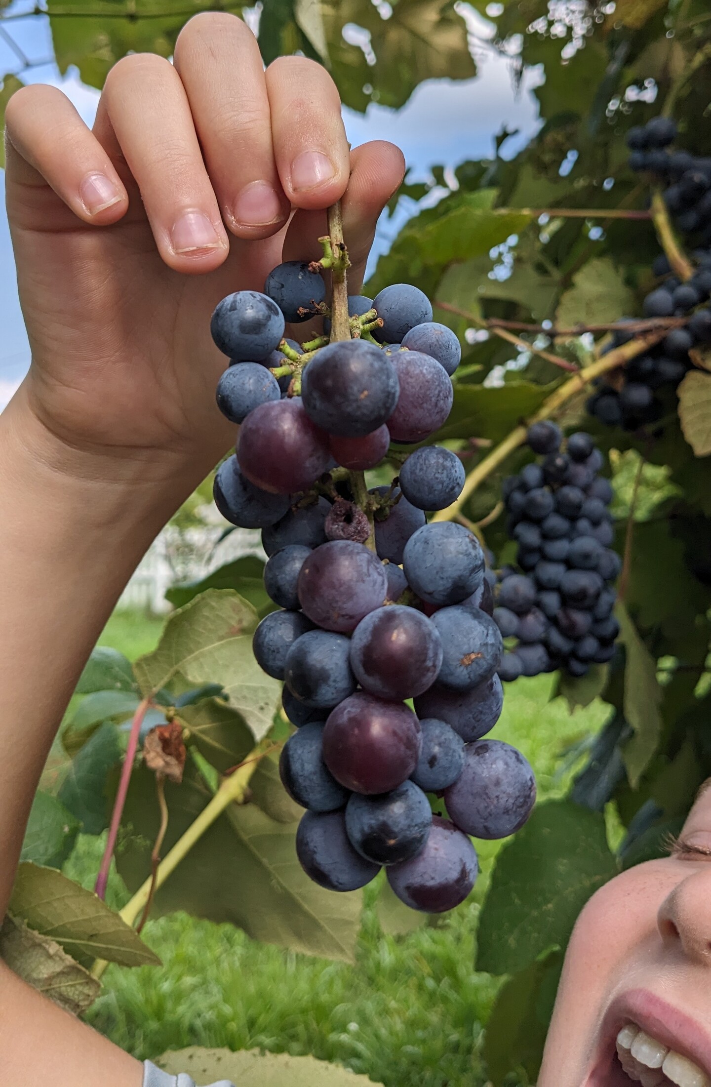 Photo gallery image - 3